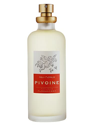Pivoine - پیوون