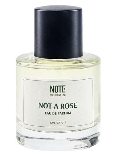 Not A Rose - نه گل رز