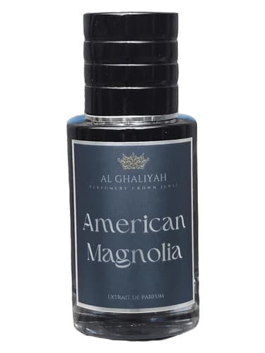 American Magnolia - مگنولیا آمریکایی
