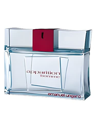 Apparition Homme - اپاریشن هوم