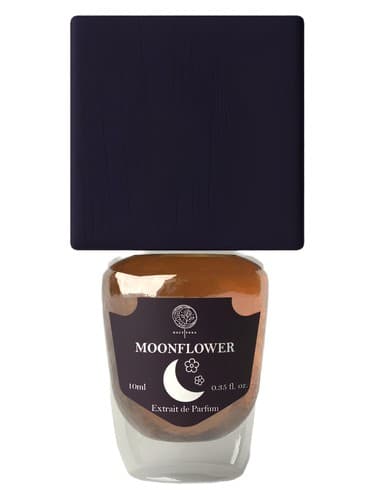 MoonFlower - گل مون