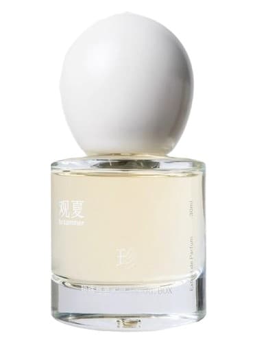 Pearl Box 珍珠与老木匣 - جعبه مروارید 珍珠与老木匣