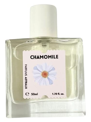 Chamomile - بابونه