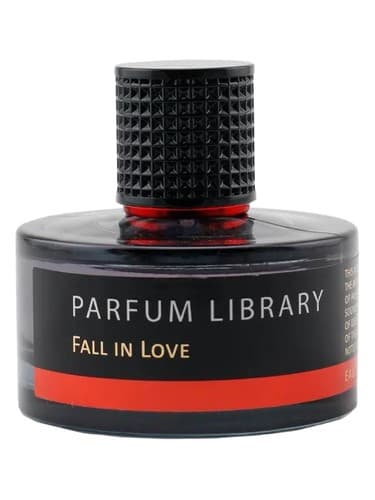 Fall in Love - عاشق شدن