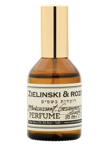 Blackcurrant, Geranium, Amber, Leather - توت بلک، شمعدانی، امبر، چرم