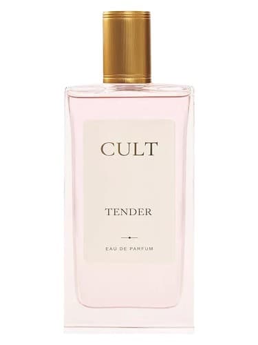 Tender - مناقصه