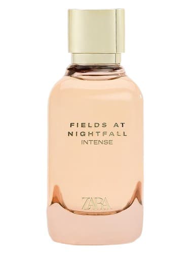 Fields At Nightfall Intense - فیلدها در نایت شدید