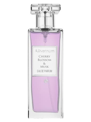 Cherry Blossom & Musk - شکوفه و مشک چری