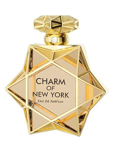 Charm of New York - جذابیت نیویورک