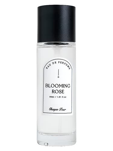 Blooming Rose