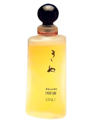 Kinu - کینو