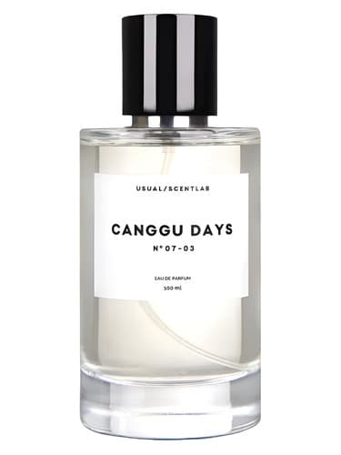 Canggu Days № 07-03 - روزهای Canggu № 07-03