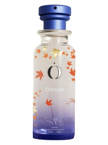 Bonsoir 