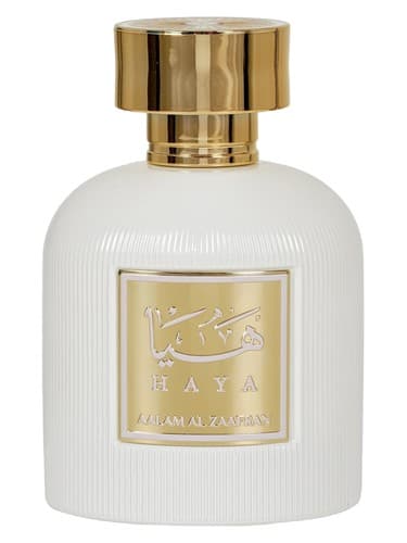 HAYA - هایا