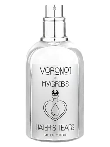 Hater's Tears - اشک متنفر