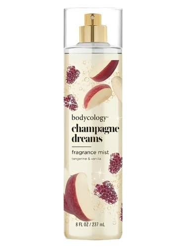 Champagne Dreams - رویاهای شامپاین