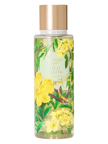 Wild Willow - بید وایلد