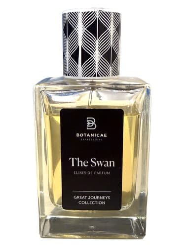 The Swan - قو