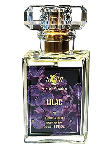Lilac - یاسی