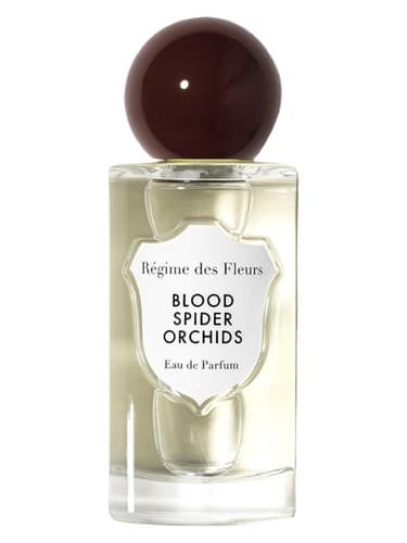 Blood Spider Orchids 2025 - بلاد اسپایدر ارکیدز 2025