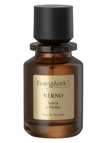Verno - ورنو