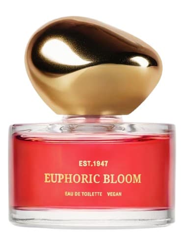 Euphoric Bloom - بلوم سرخوشی