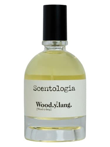 Wood.y2.lang