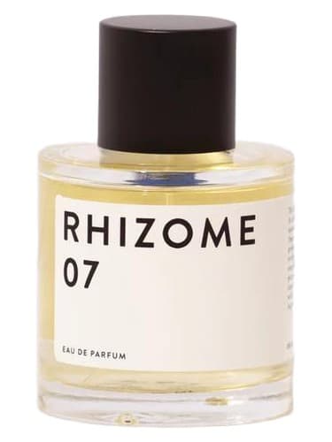 Rhizome 07 - ریزوم 07