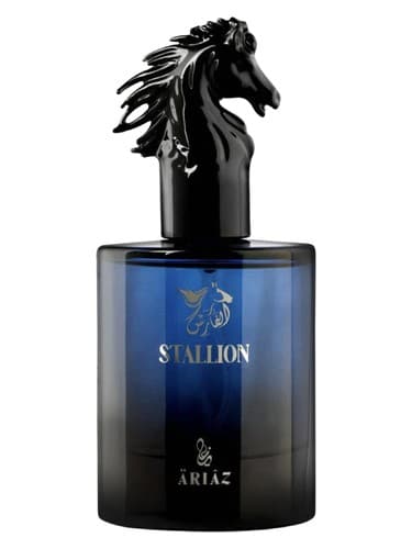 Stallion - اسب نر