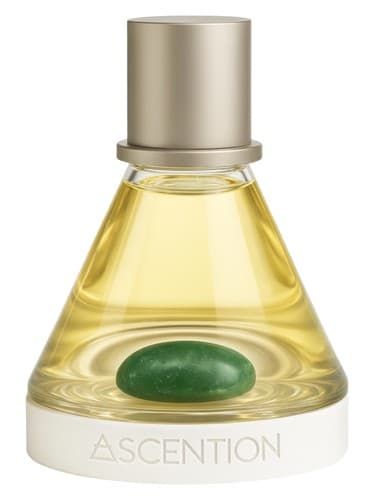 Ascent to Prosperity with Green Aventurine Eau de Parfum