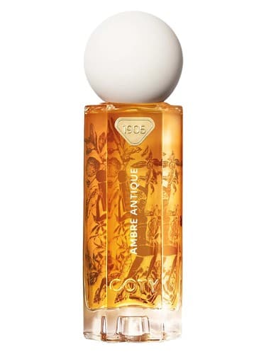Ambre Antique - آمبر انتیک