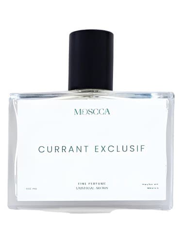 Currant Exclusif - بیدانه منحصر به فرد