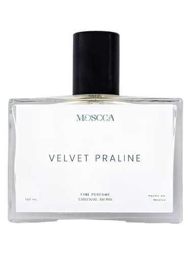 Velvet Praline - پرالین مخملی
