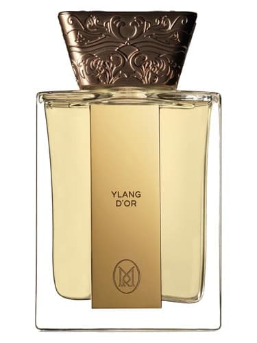 Ylang d’Or - یلانگ گلد