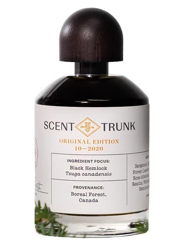 Black Hemlock