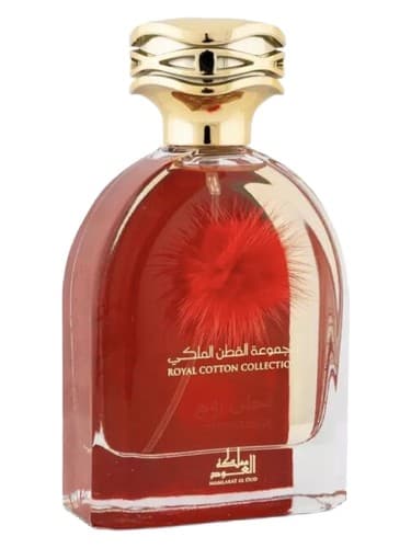 Cotton Rouge Royal