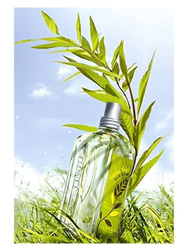 Verbena Sun - وربنا سان