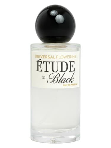 Étude in Black 