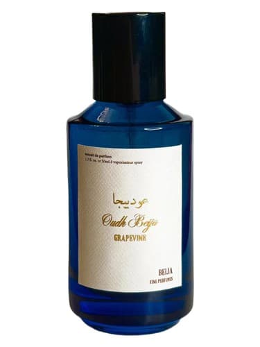 Oudh Beija Grapevine - انگور عود بیجا