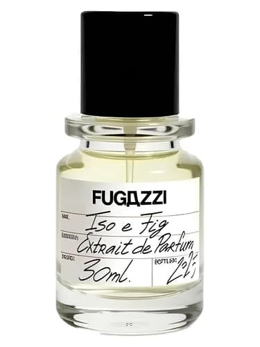 ISO E FIG