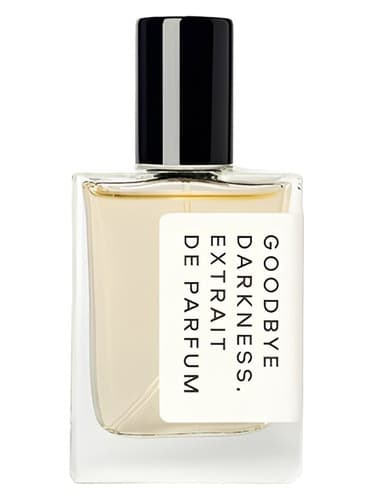Goodbye Darkness - خداحافظ تاریکی