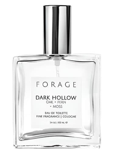 Dark Hollow - دارک هالو