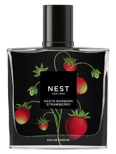 Santa Barbara Strawberry - سانتا باربارا استرابری