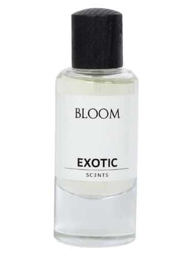 Bloom - شکوفه دادن
