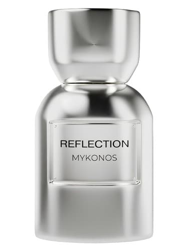 Reflection - رفلکشن