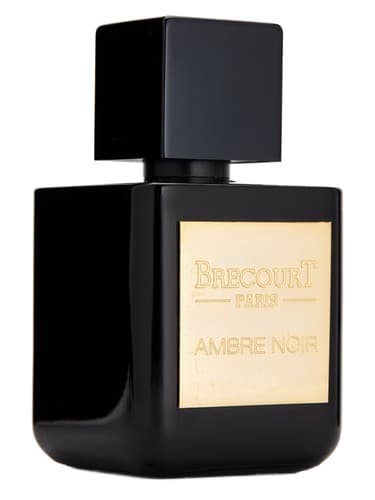 Ambre Noir - آمبره نوآر