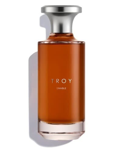 Troy - تروی