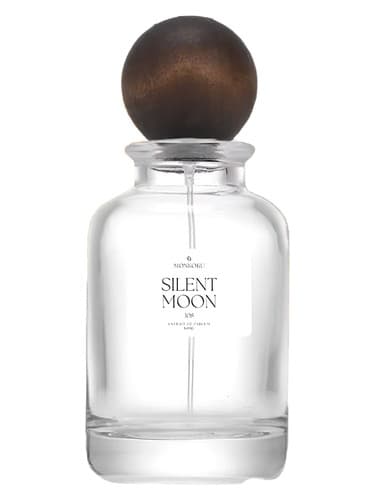 Silent Moon - مون خاموش