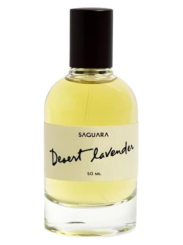 Desert Lavender - اسطوخودوس صحرا