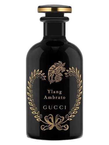 Ylang Ambrato